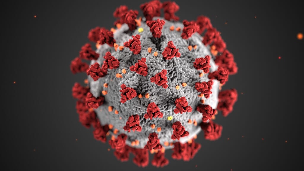Coronavirus_3D_illustration_by_CDC_1600x900.jpg?w=1024&h=576&scale