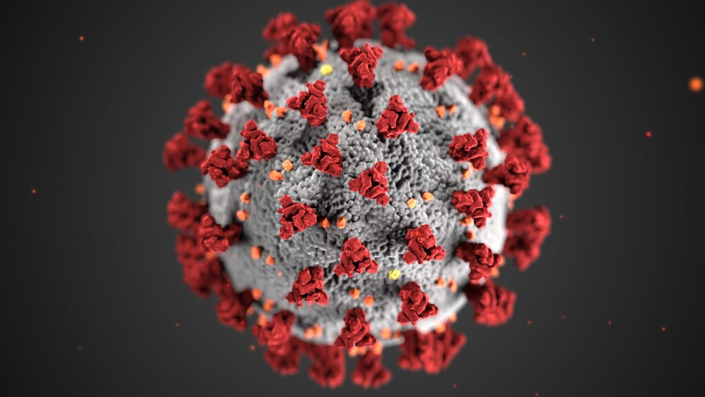 Coronavirus_3D_illustration_by_CDC_1600x900.jpg?w=1024&h=576&scale Coronavirus_3D_illustration_by_CDC_1600x900.jpg?w=1024&h=576&scale